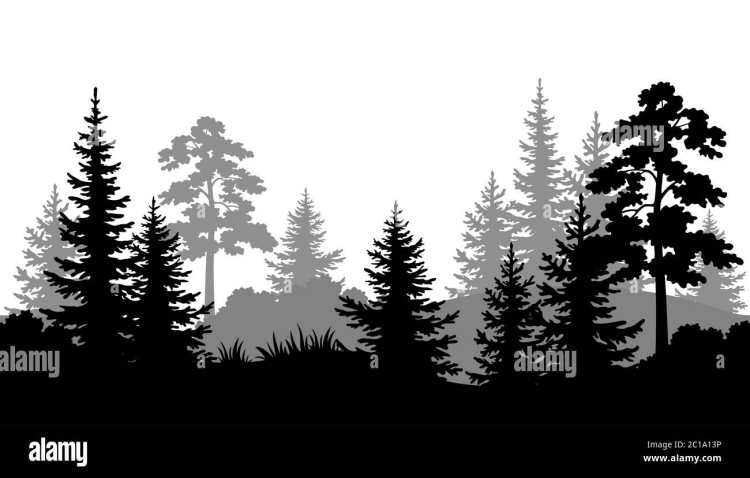 Темнохвойный лес