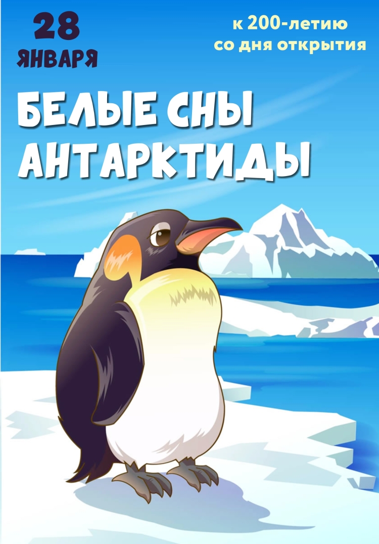 Пингвины антарктиды