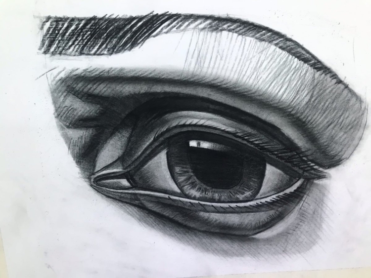 Анатомический рисунок глаза