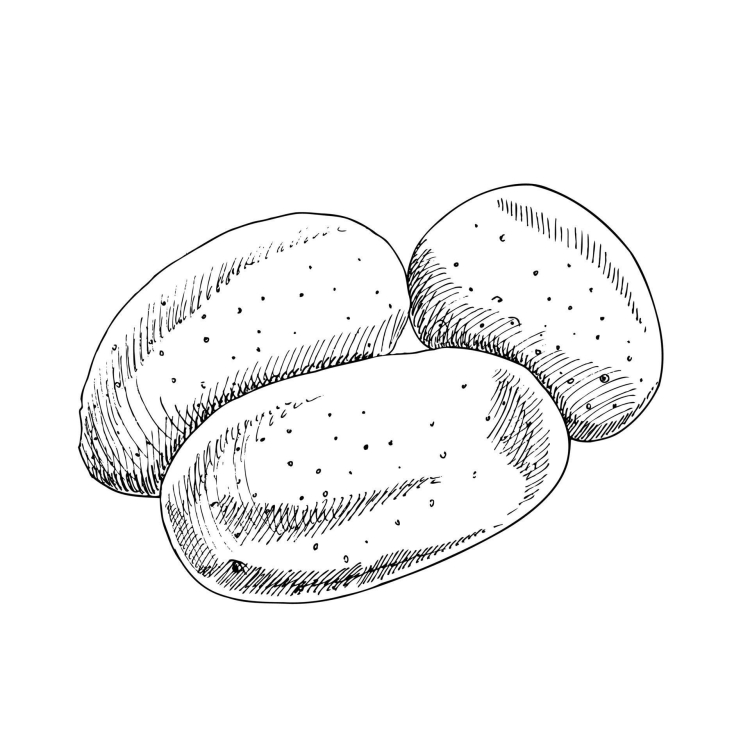 Рисунок картофель горох помидор