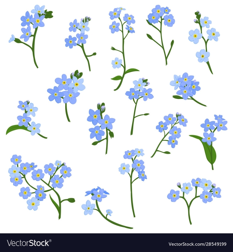Маленькие синие весенние цветы