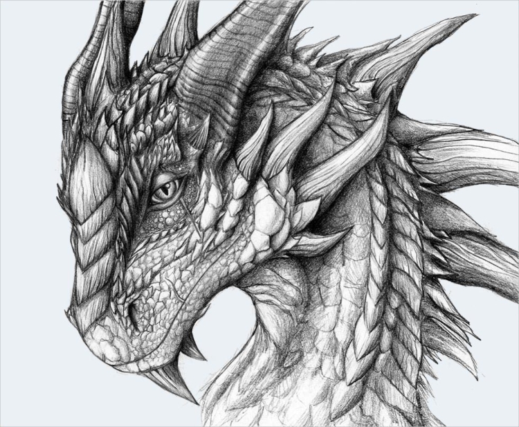 Голова доброго дракона рисунок