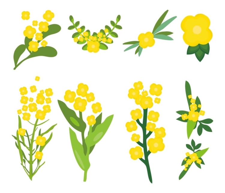 Весенние желтые цветочки