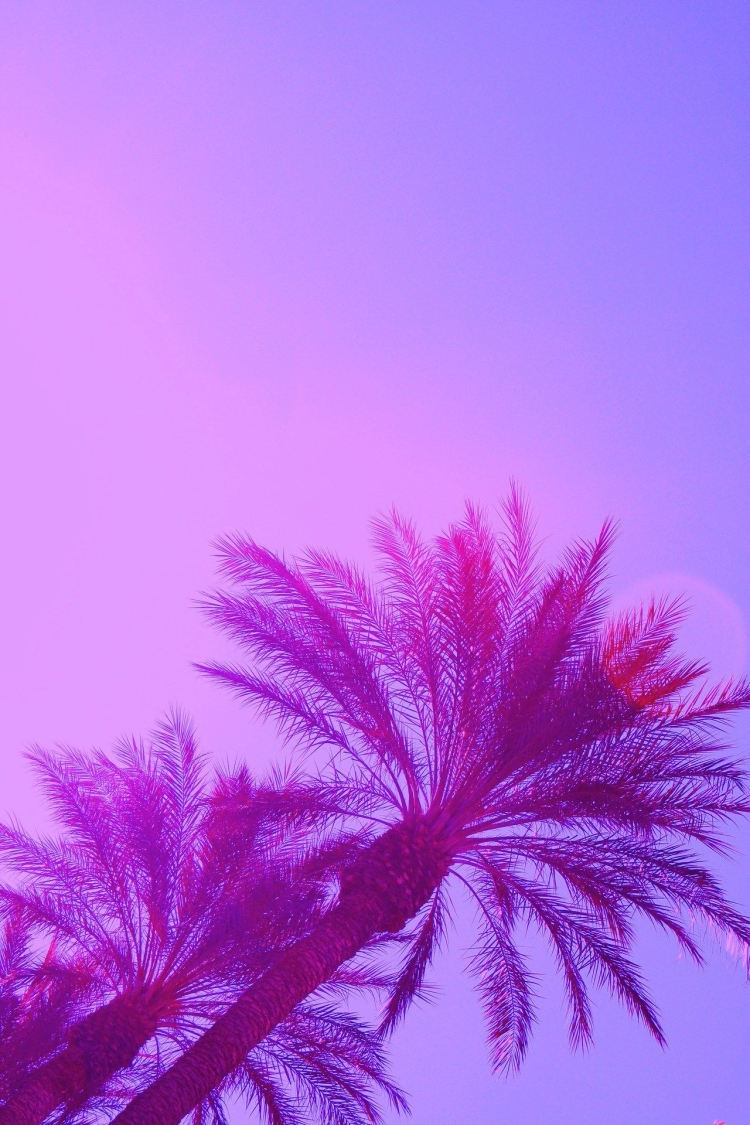 Пурпурная пальма