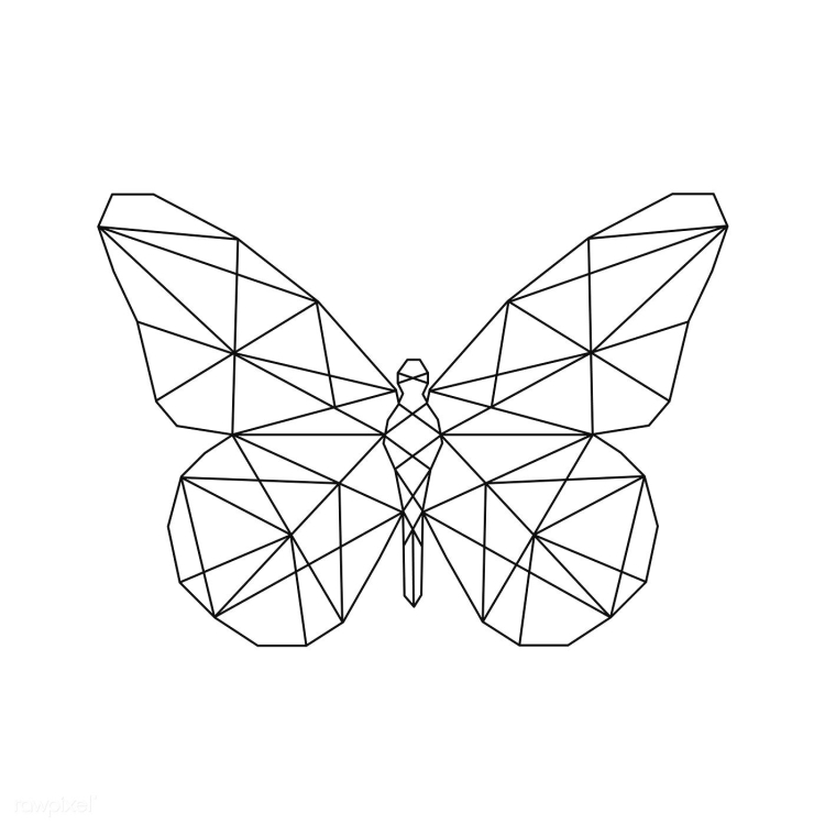 Бабочка из геометрических фигур