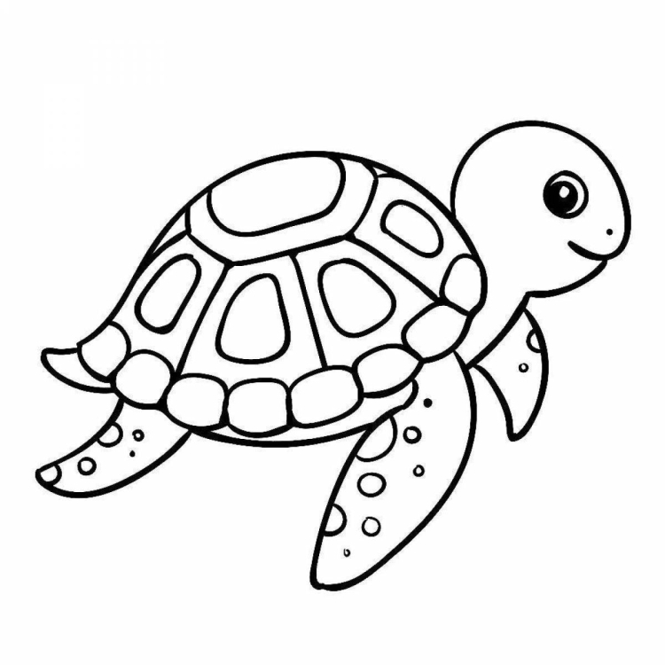 Раскраска морская черепаха