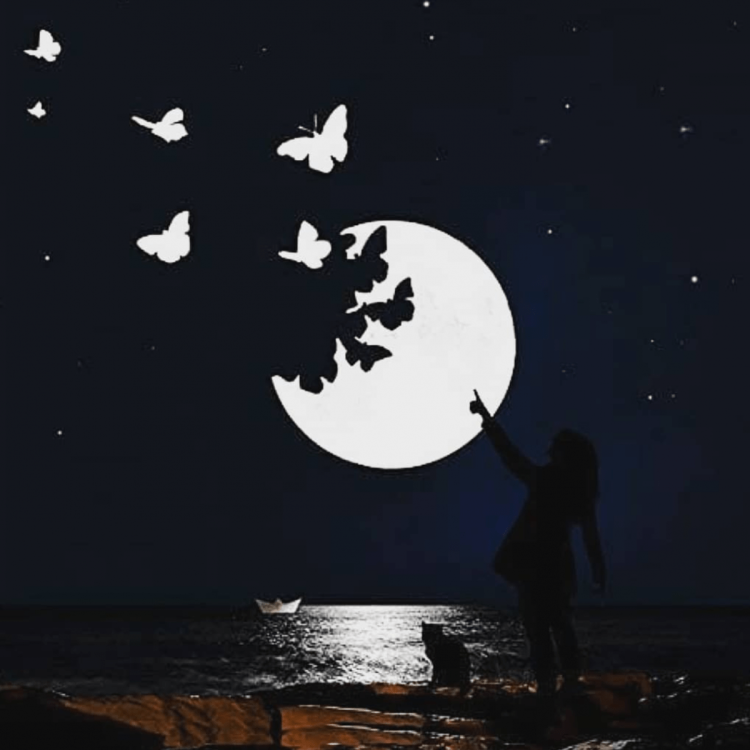 Прекрасная вечерняя луна