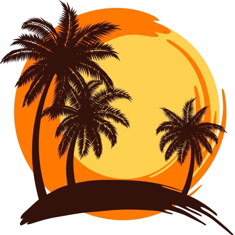 Солнце пальмы