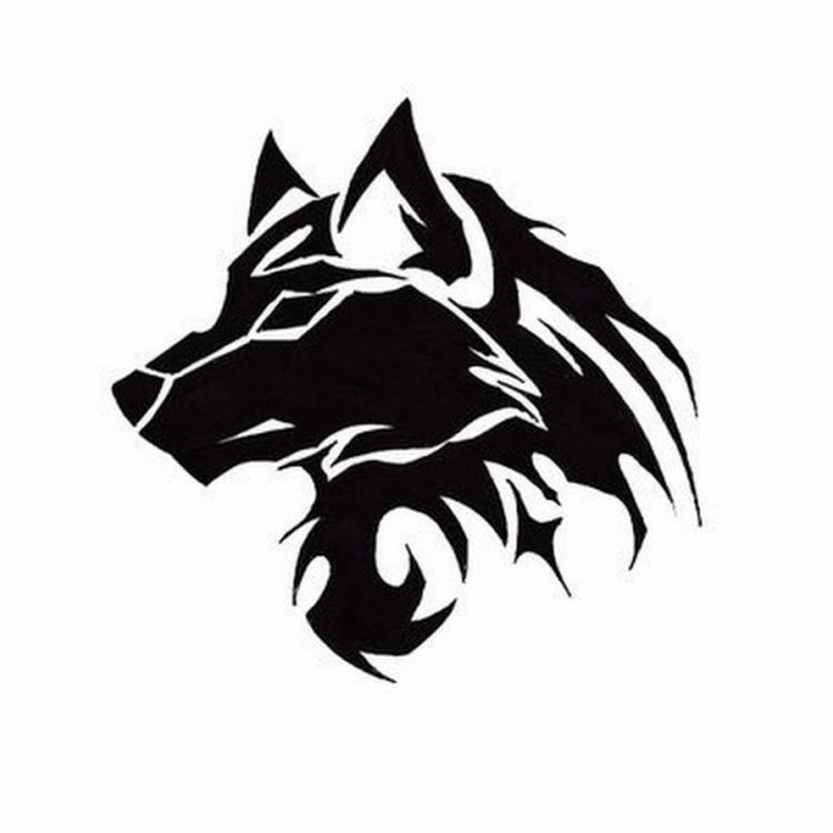Волк черно белый рисунок (40 фото)