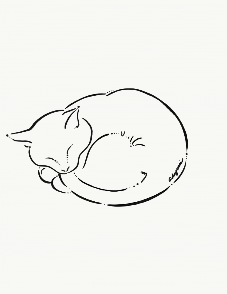 Спящий кот рисунок (41 фото)