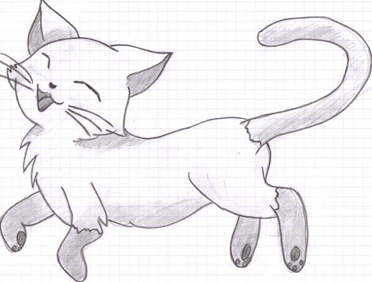 Рисунки для срисовки котики аниме (39 фото)