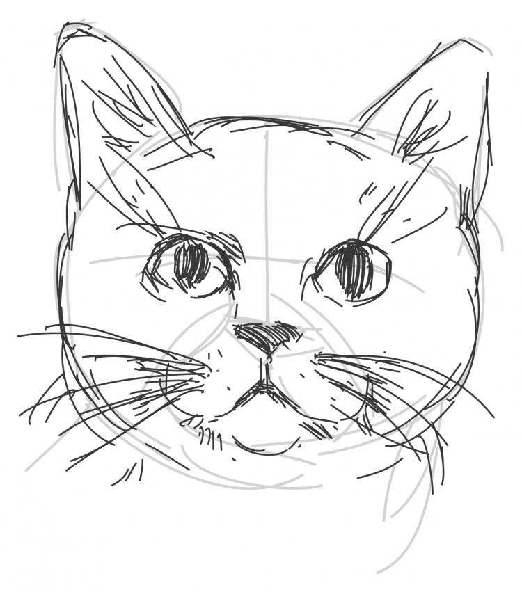 Кот в профиль рисунок карандашом (39 фото)