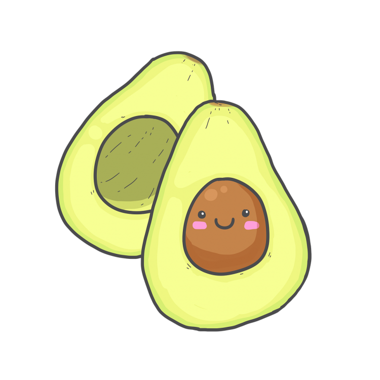 Рисунок авокадо для срисовки легкие (42 фото)