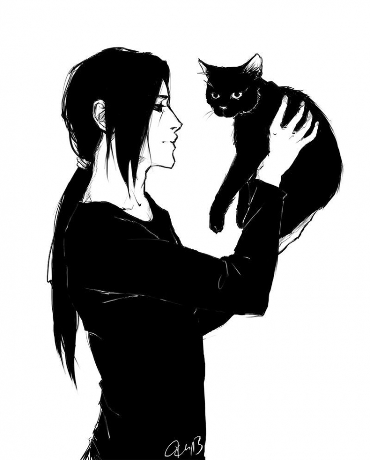 Девушка с котом рисунок (41 фото)