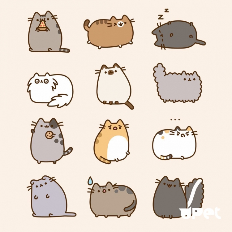 Рисунки для срисовки котики няшки (40 фото)
