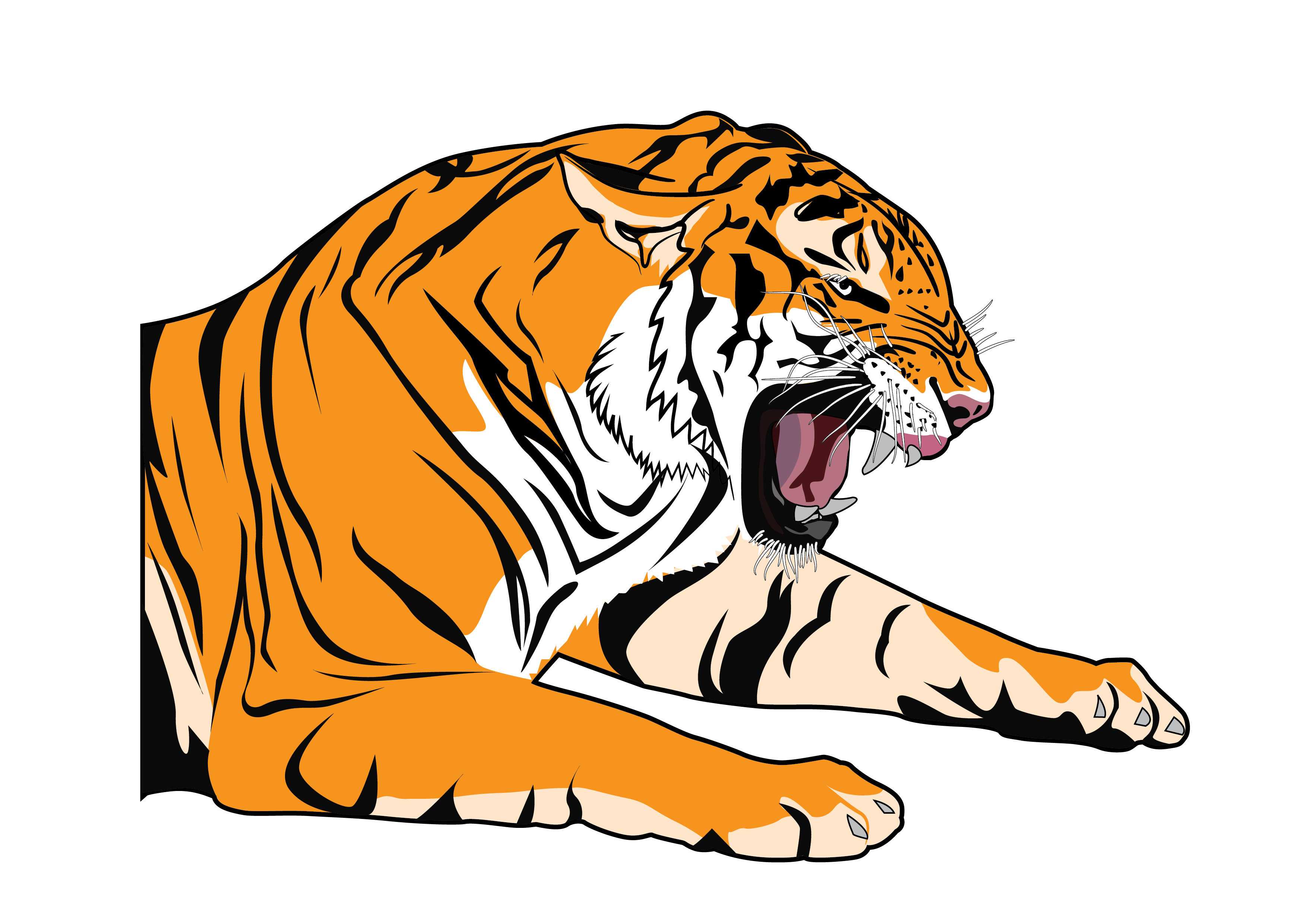 Векторные рисунки png. Тигр на прозрачном фоне. Тигр рисунок. Тигр на белом фоне. Тигр вектор.