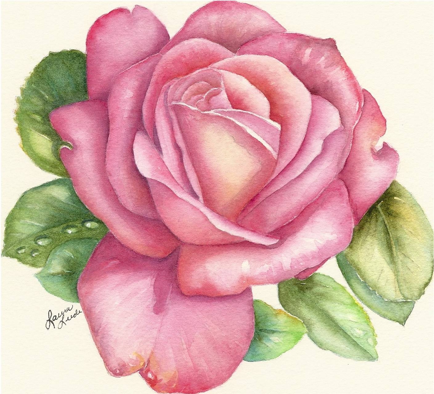 Розовый цветок нарисованный. Нарисовать цветы. Цветы рисунки цветные.
