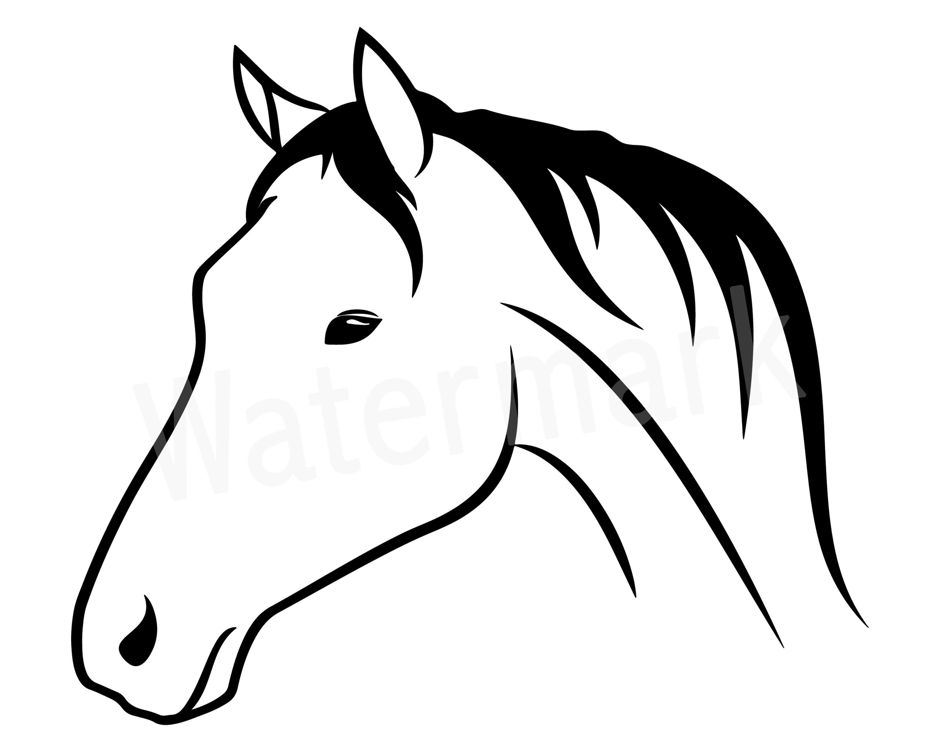 Голова лошади рисунок карандашом профиль (41 фото)