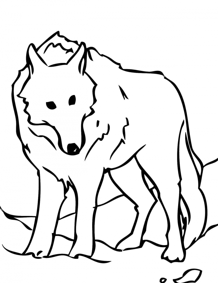 Волк рисунок для детей (39 фото)