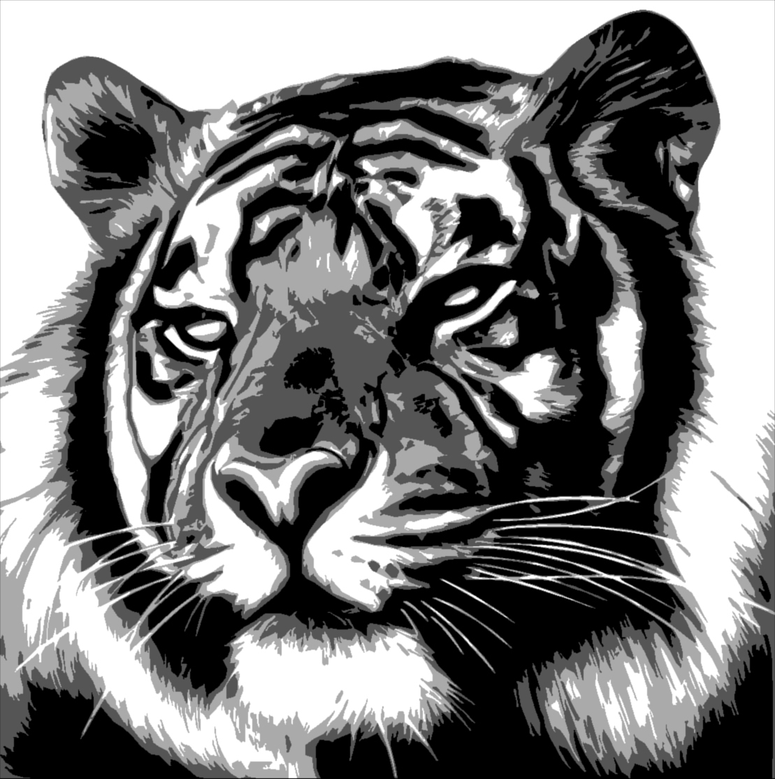 Рисунки в формате jpg. Черно белые рисунки. Тигр рисунок. Тигр черно белый. Красивые черно белые рисунки.