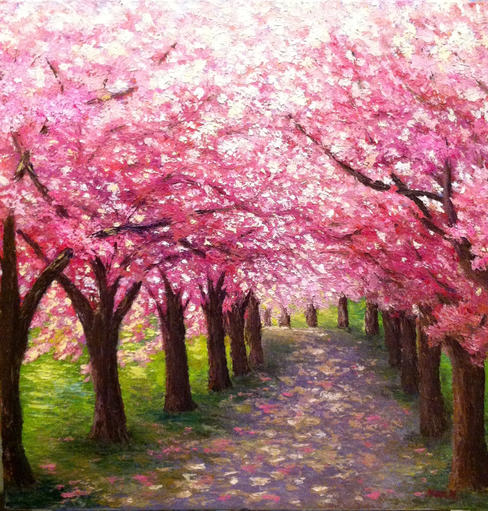 Масло сакуры. Деревья в цвету живопись. Цветущие сады. Сакура дерево. Розовое дерево.