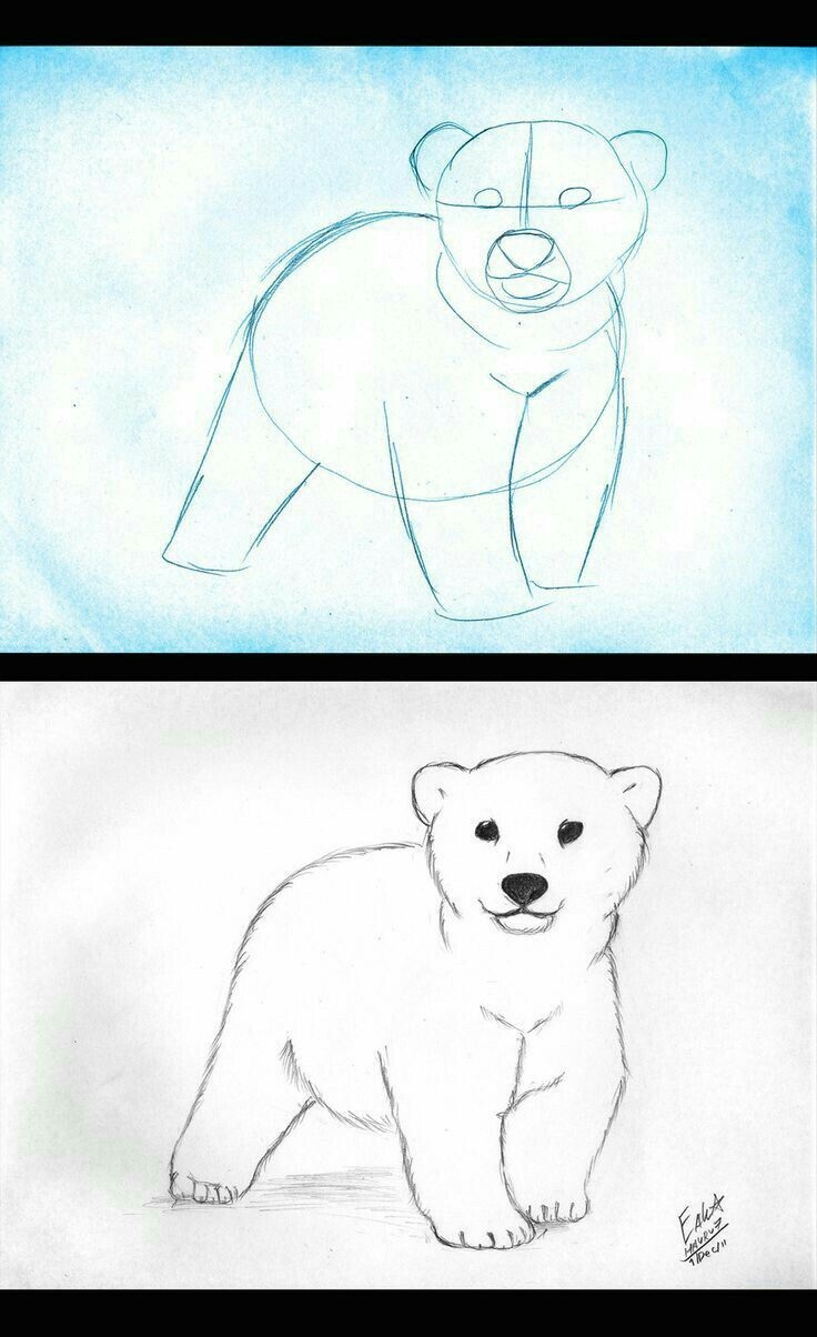 Рисование медведя поэтапно