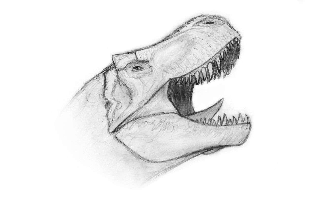 30 способов нарисовать разных динозавров - Лайфхакер