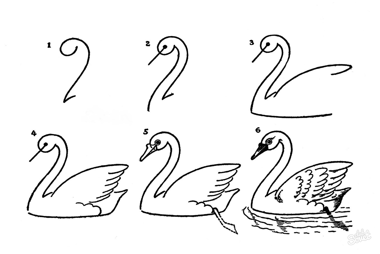 Как составить конспект занятия по рисованию на тему «Птицы»