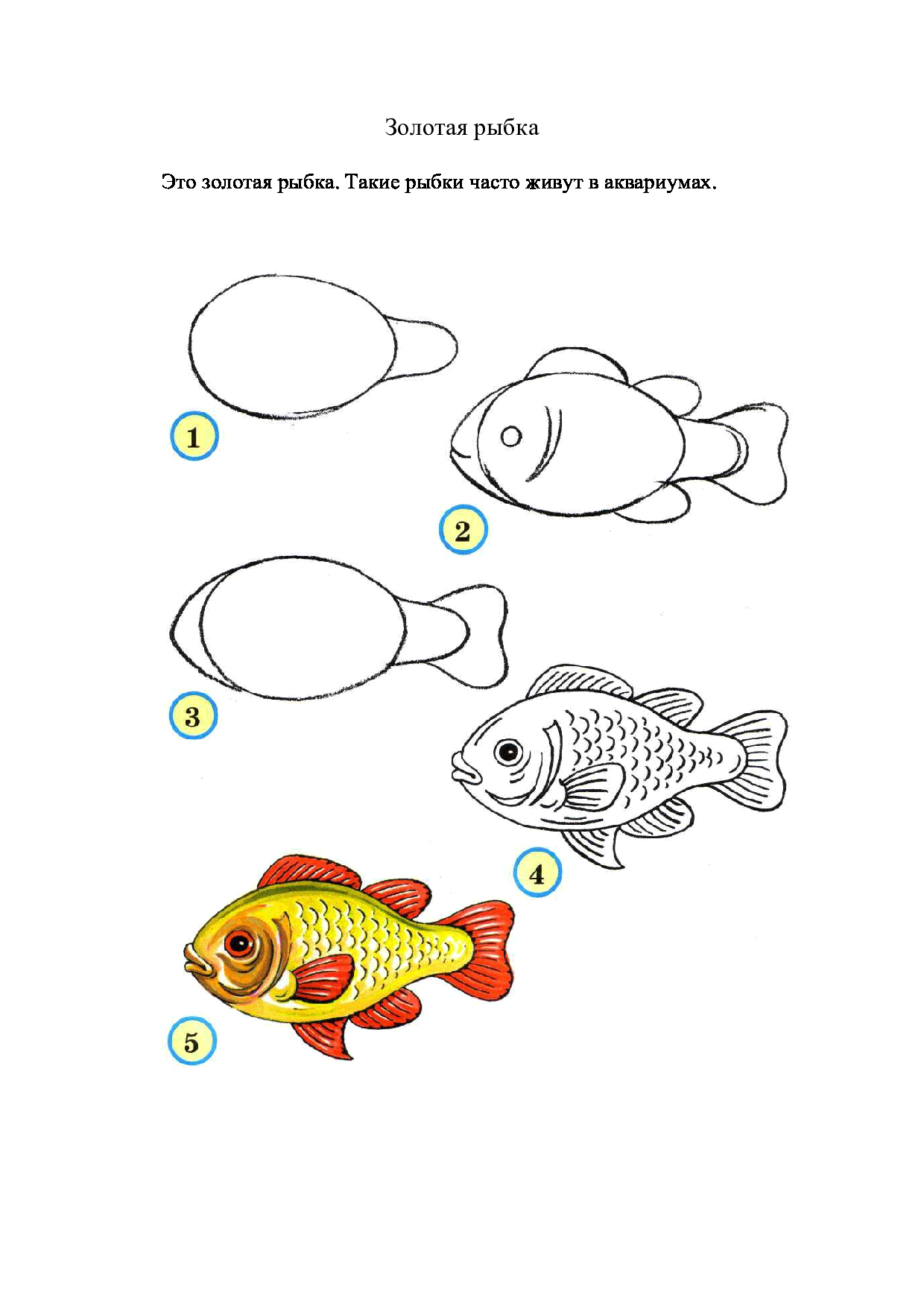 Рисование рыбки. Поэтапное рисование рыбки. Рисование рыбки поэтапно для детей. Поэтапное рисование рыбки для детей. Рыбы рисунок 3 класс