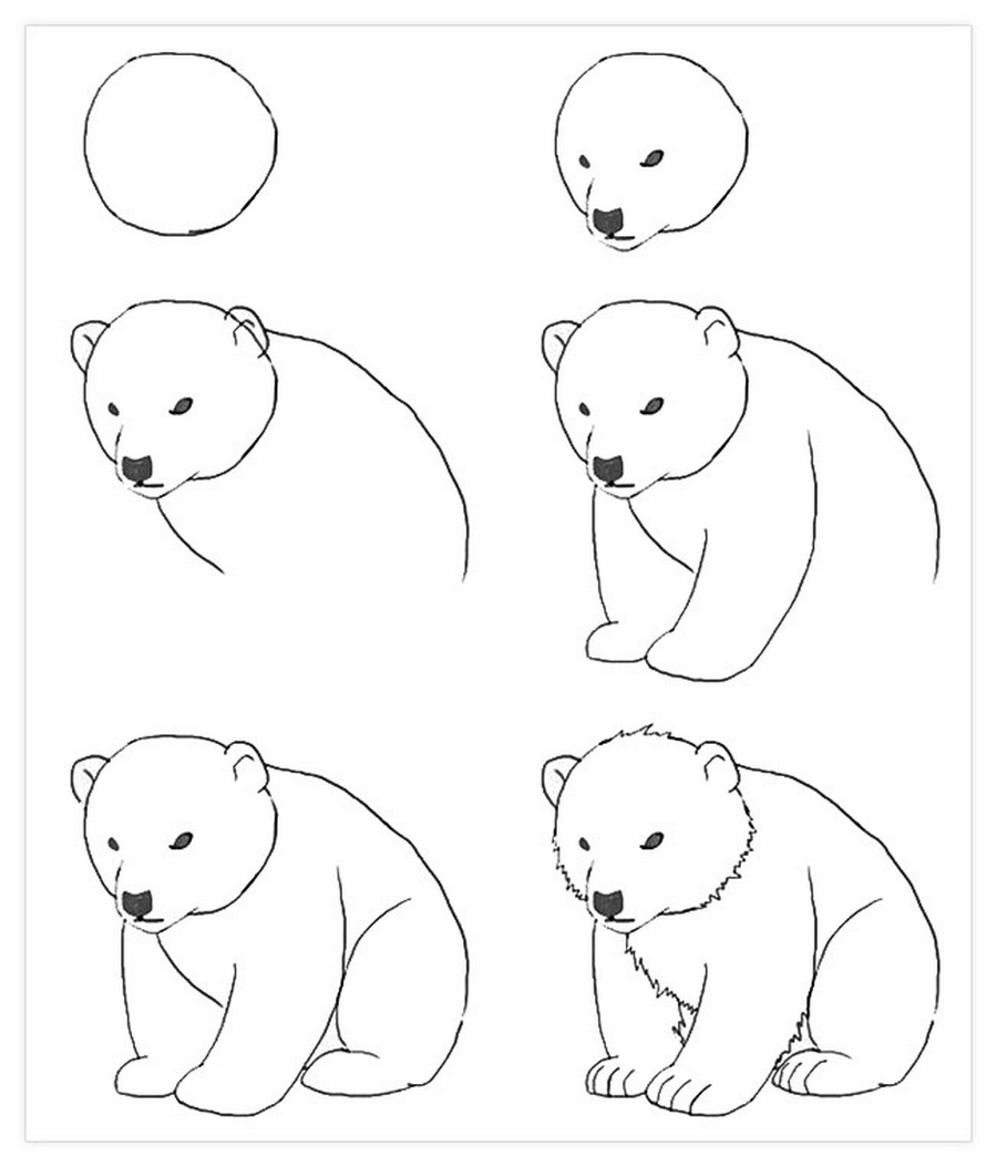 �Как нарисовать медведя | Рисуем медведя карандашом поэтапно!