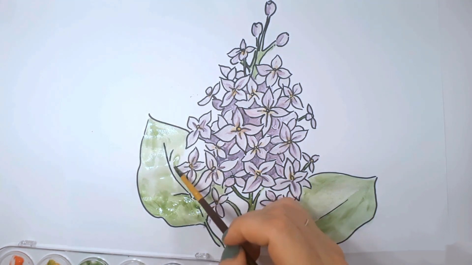 Как нарисовать сирень карандашами поэтапно