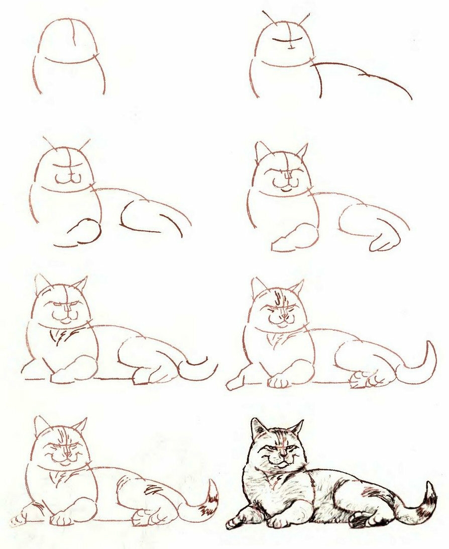 Красивые поэтапные рисунки для начинающих. Рисунки пошагово. Этапы рисования кошки. Поэтапный рисунок кошки. Рисунок кошки пошагово карандашом.