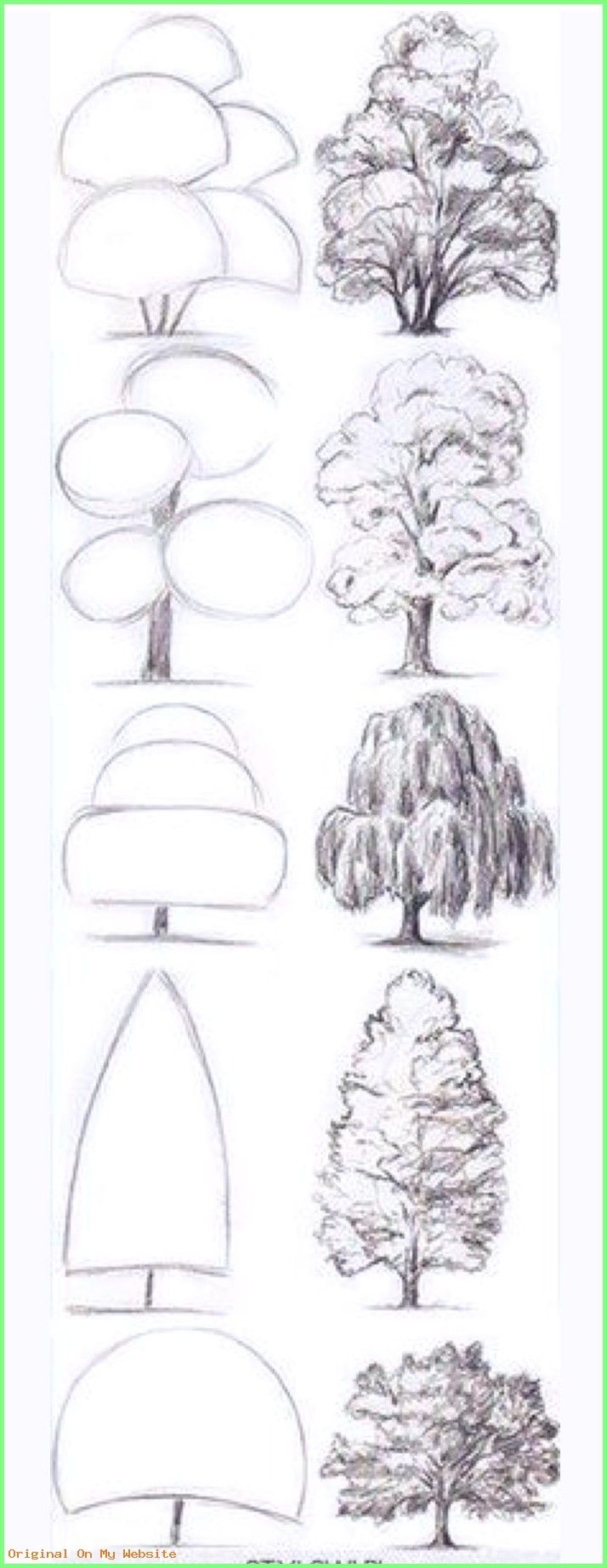 Как рисовать деревья карандашом и красками поэтапно