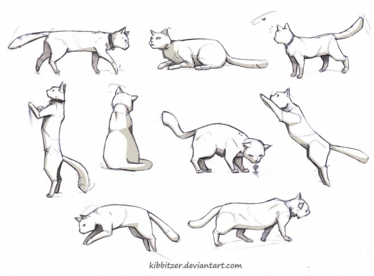 Зарисовки животных в движении