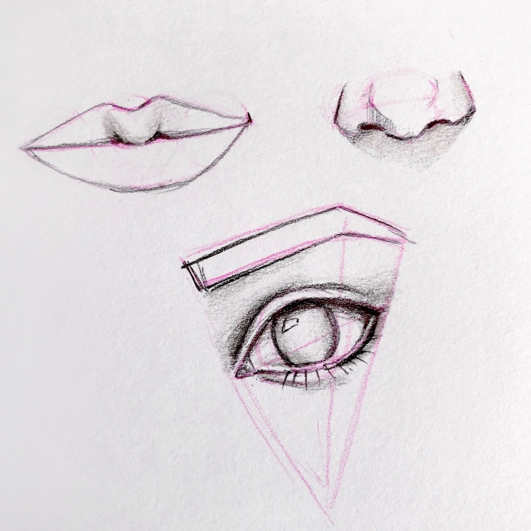 Зарисовки губ глаз и носа