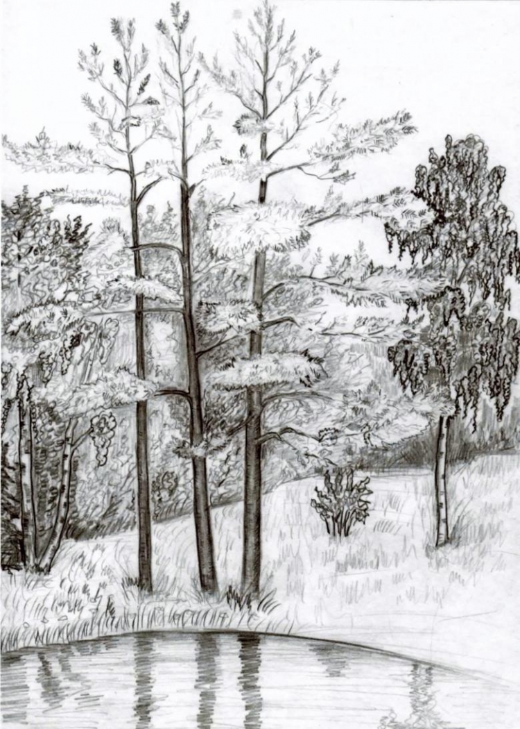 Лес рисунок