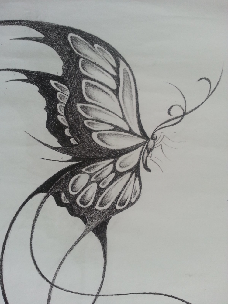 Бабочка рисунок поэтапно