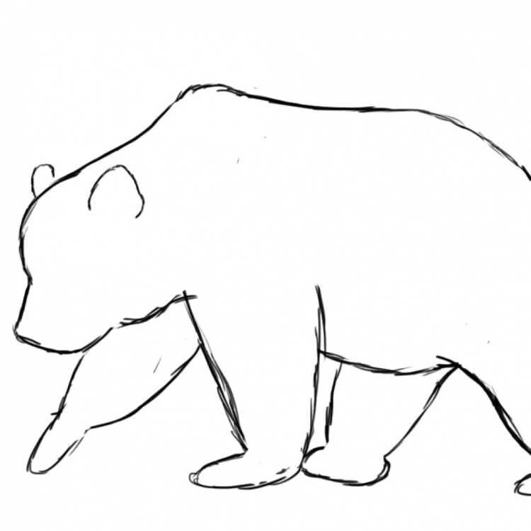 Медведь рисунок поэтапно