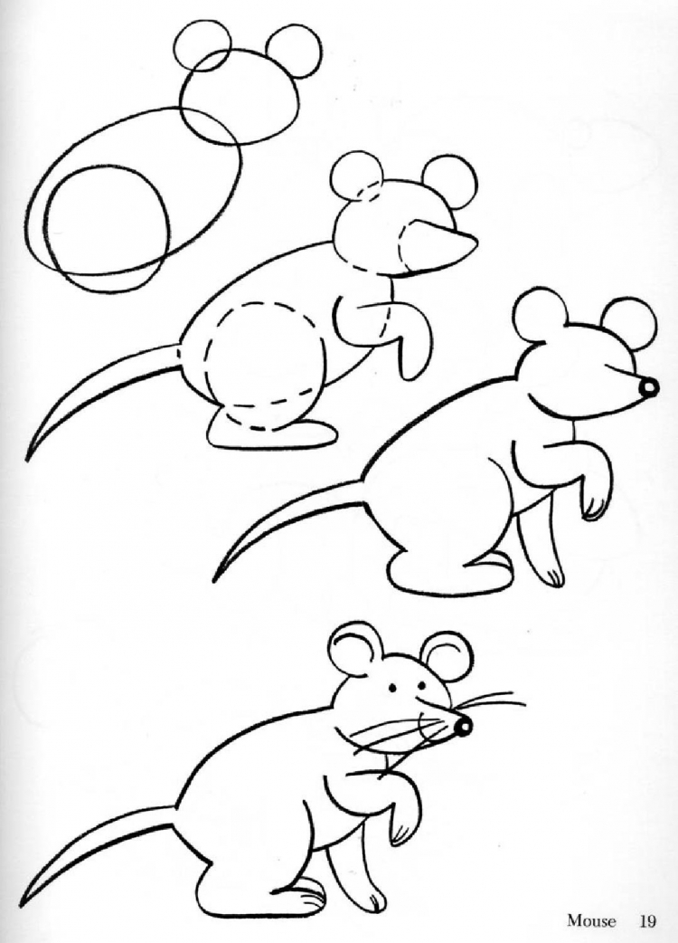 Крыса рисунок поэтапно