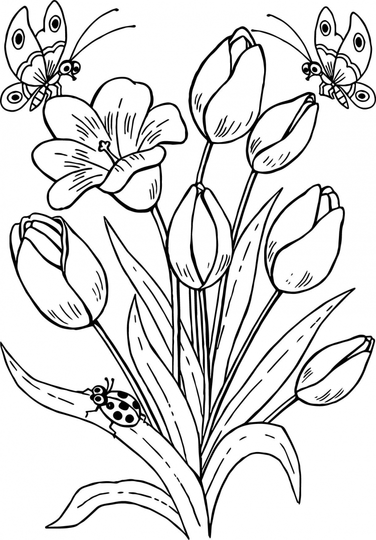 Как нарисовать весенние цветы карандашом