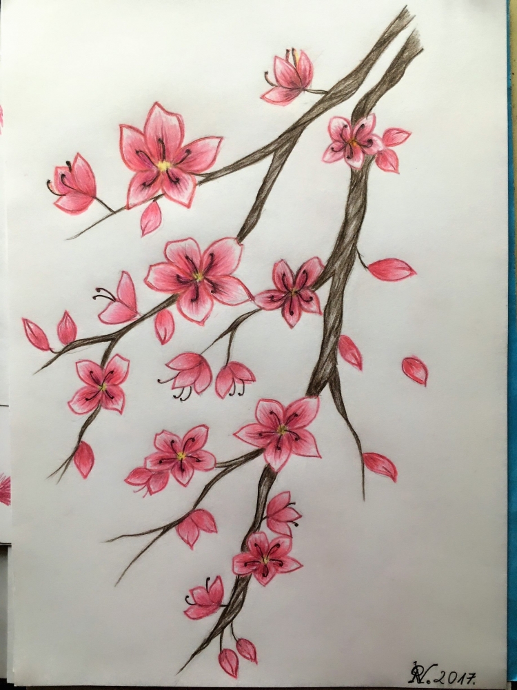 Как нарисовать САКУРУ - Ветка Сакуры весной