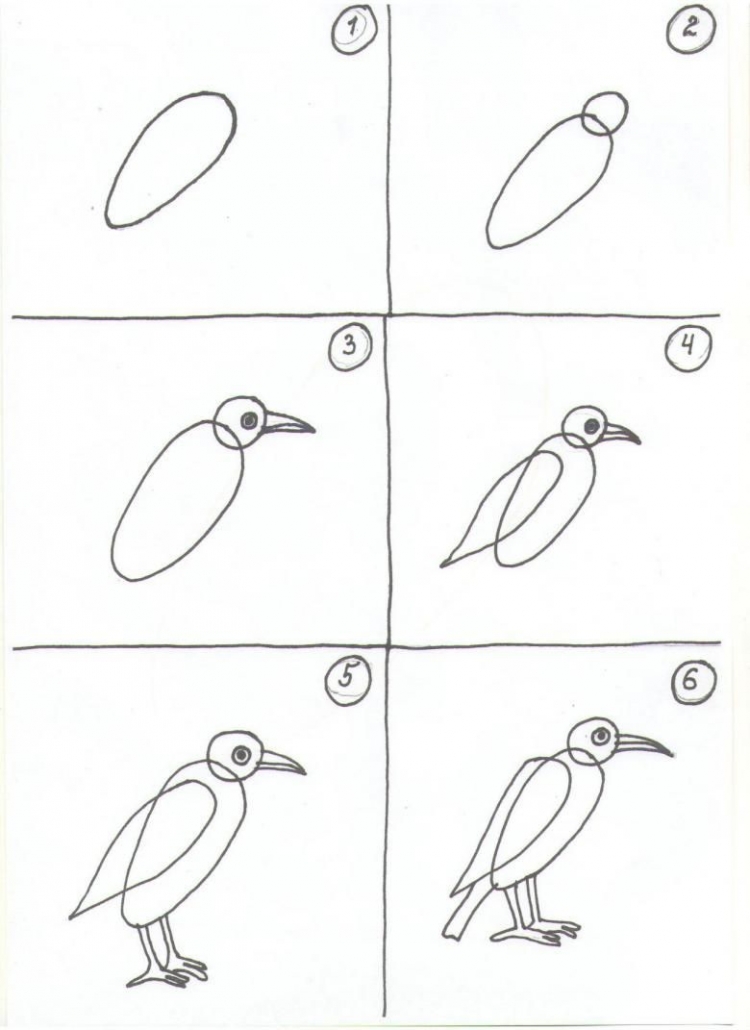 Как нарисовать ворону | Рисунок вороны поэтапно карандашом