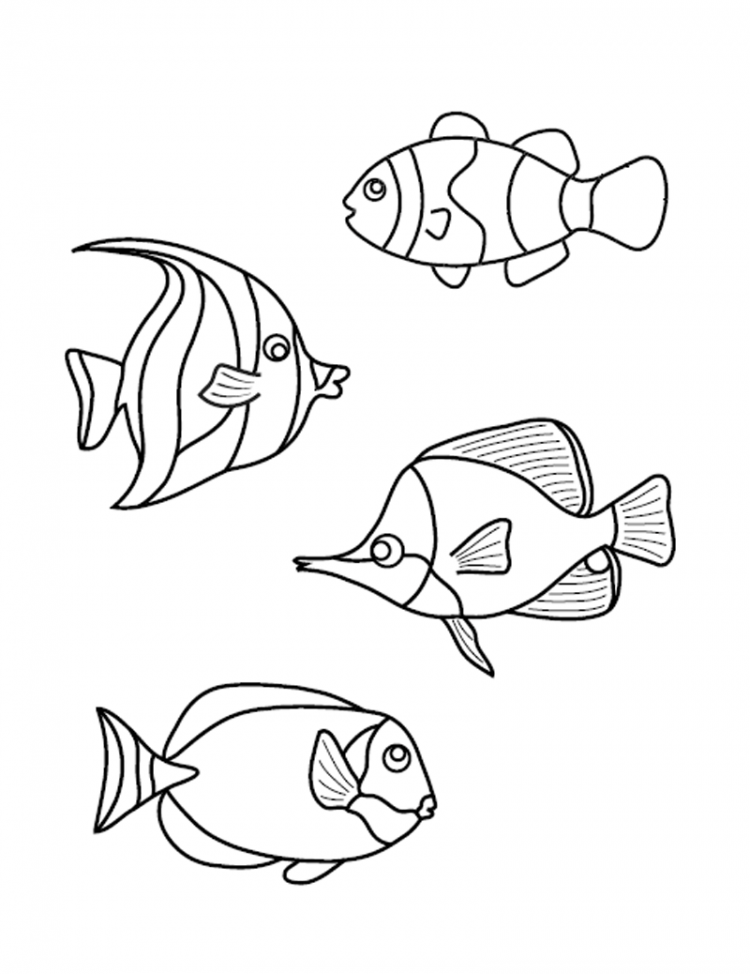 Рисунок рыба 2 класс. Рыбка рисунок. Раскраска аквариум с рыбками для детей. Рыбка рисунок карандашом. Аквариумные рыбки рисование.