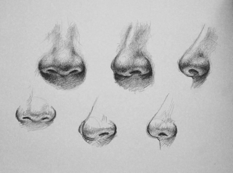 Поэтапное рисование носа