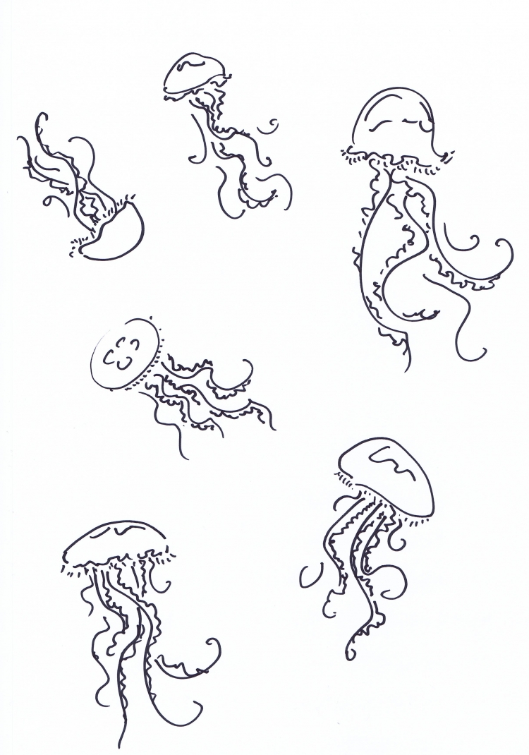 Медуза поэтапное рисование
