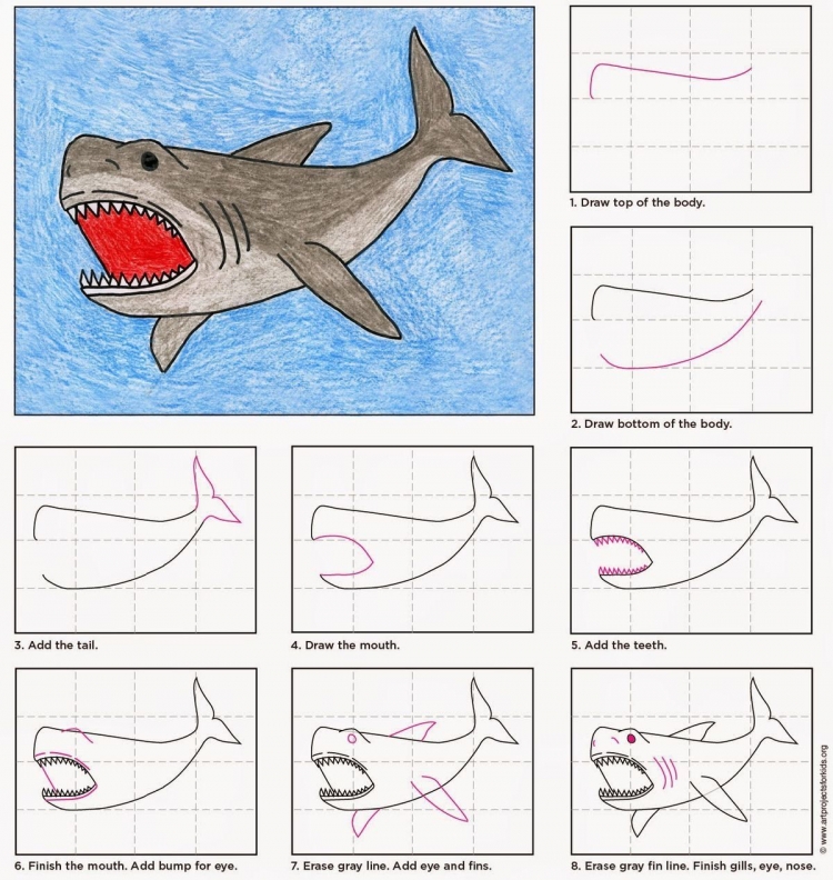 Поэтапное рисование акулы для детей