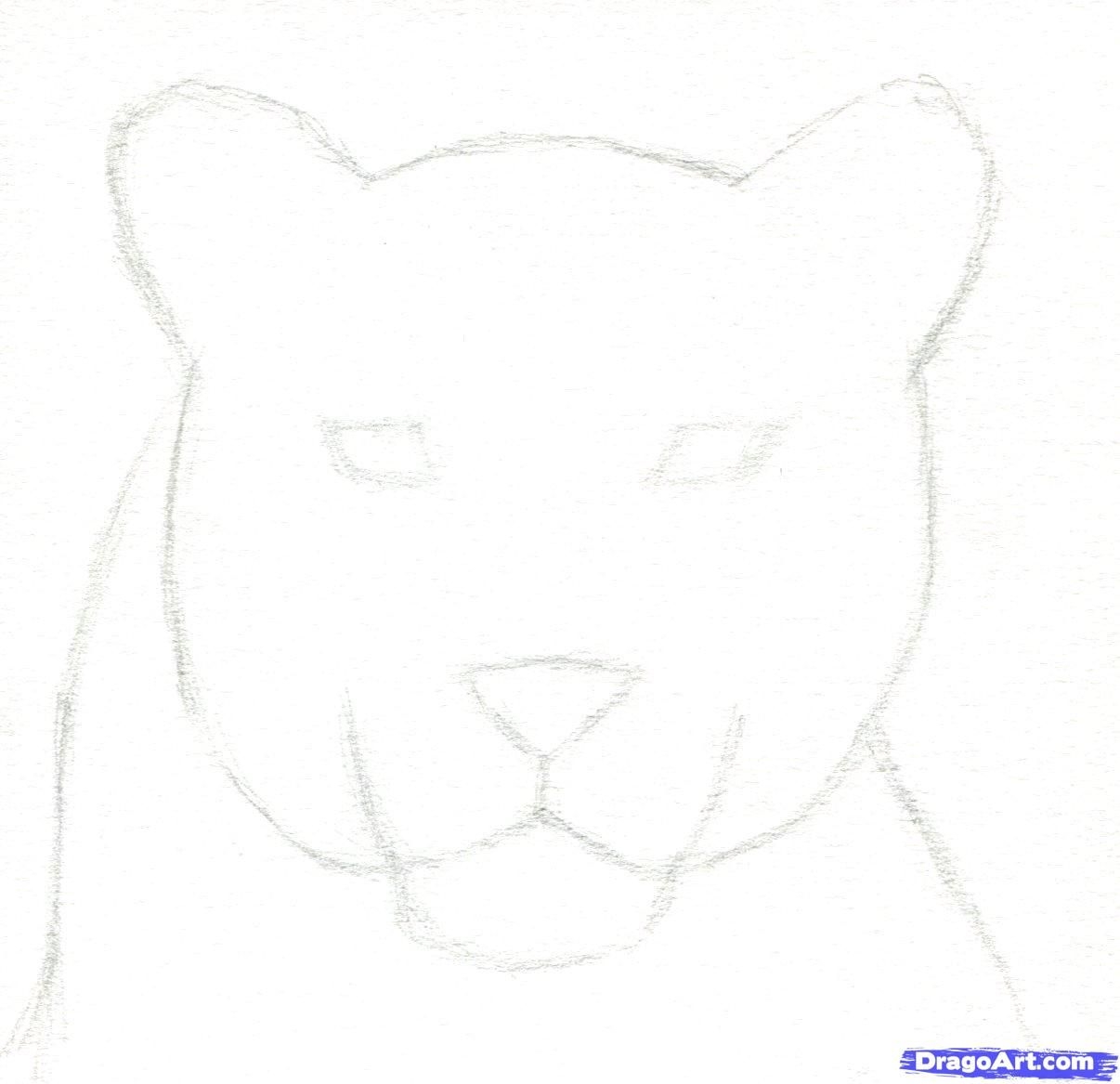 Как. нарисовать пантеру поэтапно