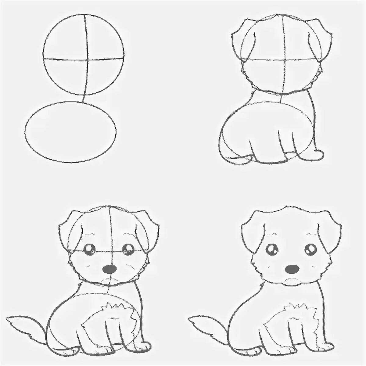 Как нарисовать собаку (щенка) поэтапно: картинки, видео, раскраски