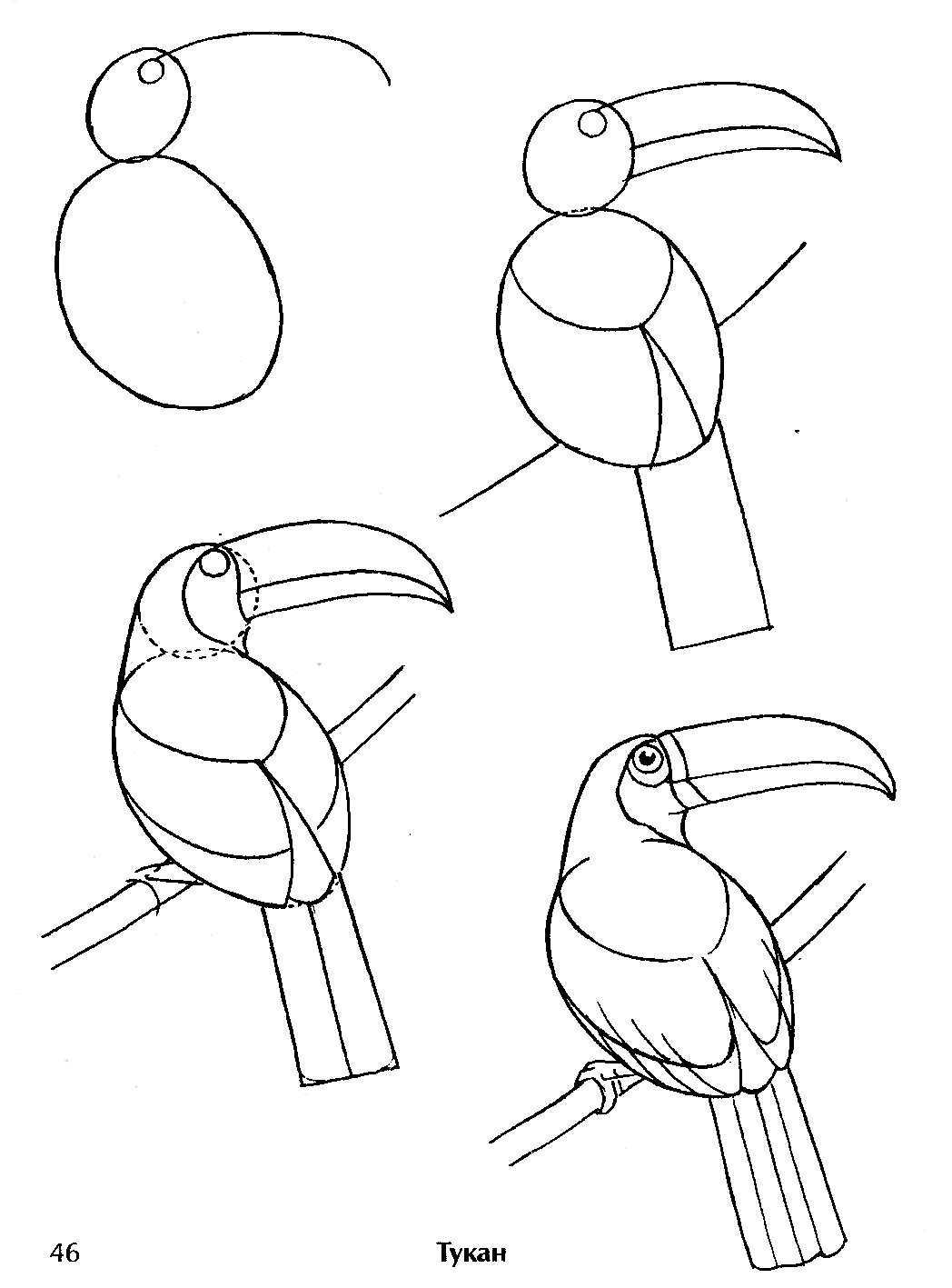 Простой рисунок птицы