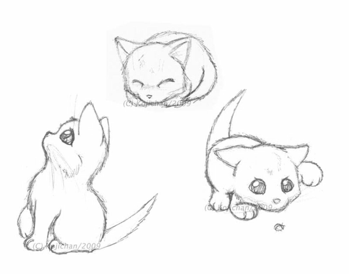 Легкие рисунки маленькие животные. Рисунок для срисовки легкий. Легкие рисунки для срисовывания. Рисунки простым карандашом для срисовки животные. Рисунки животных для срисовки лёгкие.